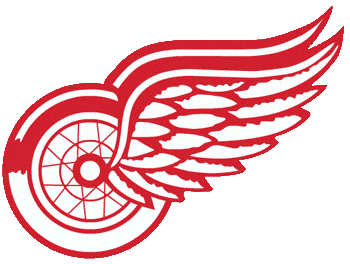 Detroit Red Wings 1973 74-1983 84 Alternate Logo cricut iron on